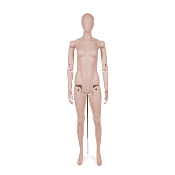 Female Museum Mannequin - Image 8