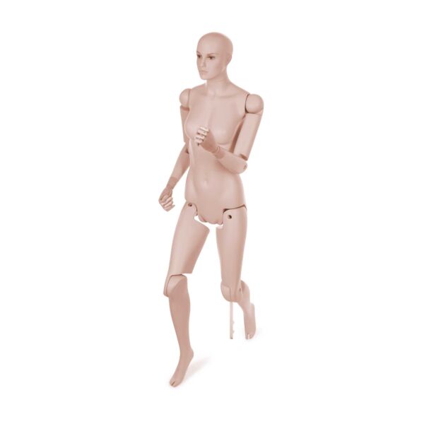 Female Museum Mannequin - Image 2