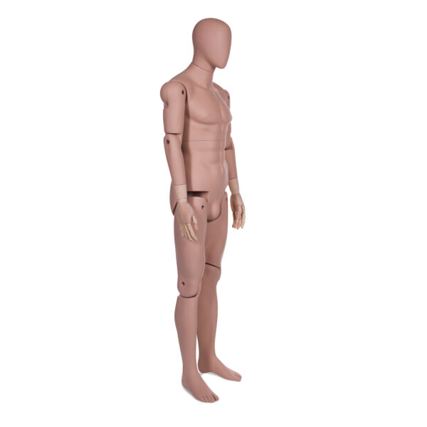 Male Museum Mannequin - Image 2