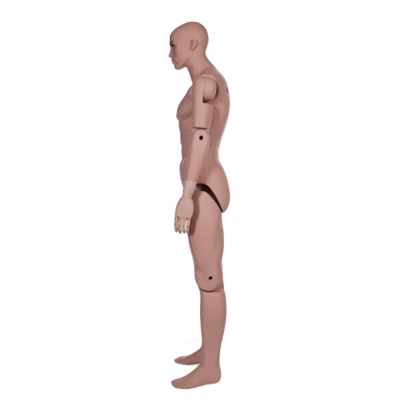 Male Museum Mannequin - Image 10