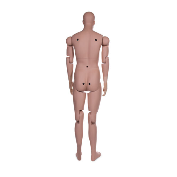 Male Museum Mannequin - Image 9