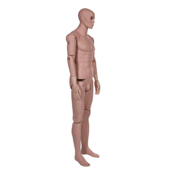 Male Museum Mannequin - Image 8