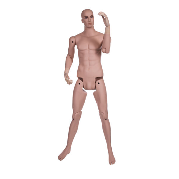 Male Museum Mannequin - Image 6