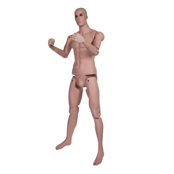 Male Museum Mannequin - Image 5