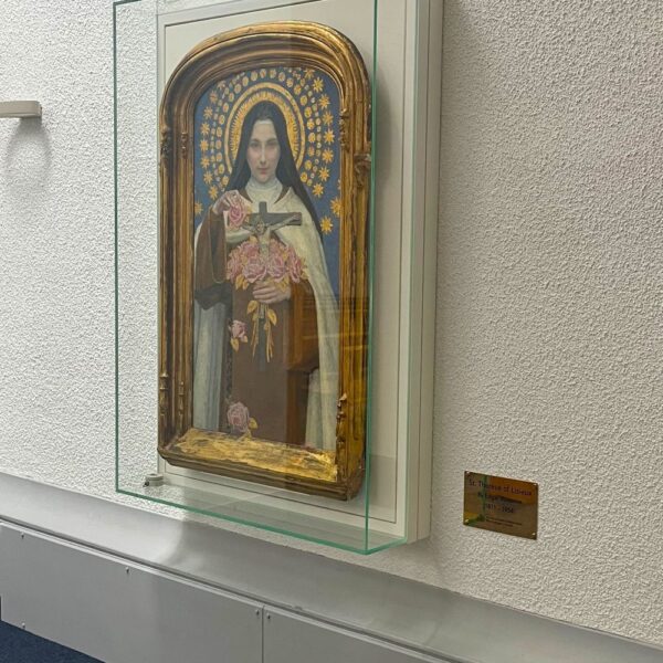 Museum Conservation Showcase - Wall Mounted