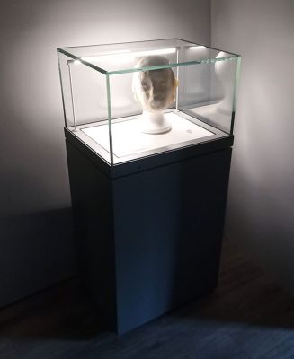 Full Base Conservation Display Case